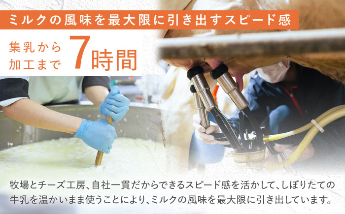 【1月発送】ナカシマファームのおすすめチーズ 6種セット[NAJ004] ナカシマファーム 酪農家 手づくりチーズ 食べくらべ 詰め合わせ