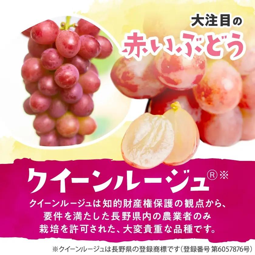 クイーンルージュ＆シャインマスカット　2房セット【配送不可地域：離島】【1436453】