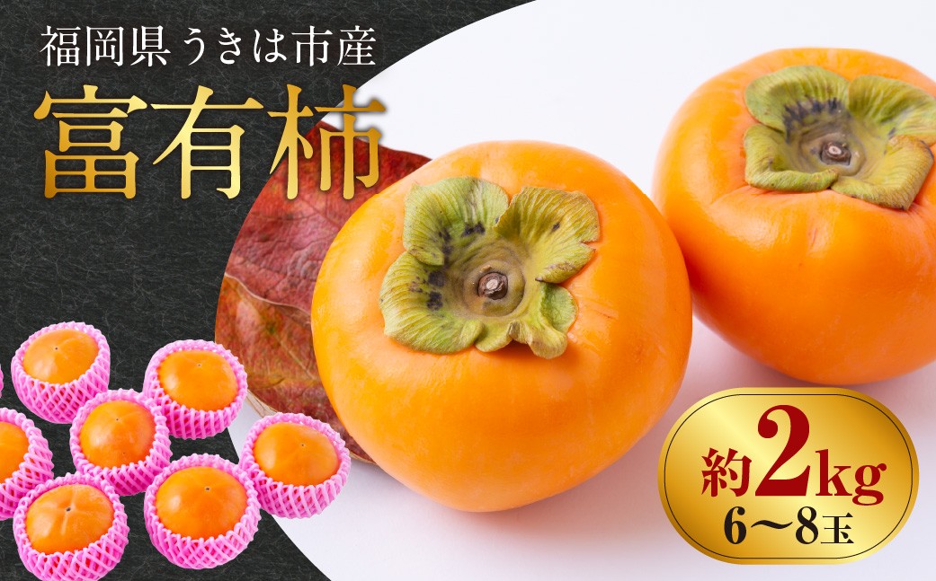 
            【先行予約】西見柿農園 富有柿 6玉から8玉 2025年11月下旬から12月上旬 出荷予定
          