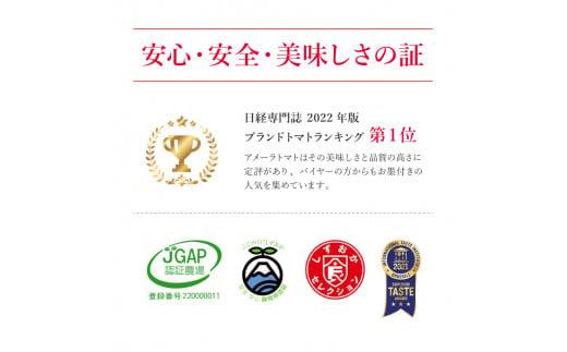 アメーラ トマト ミニトマト 10パック セット アメーラルビンズ 高糖度 7.5以上 化粧箱入り 産地 直送 新鮮 旬の 野菜 高級 フルーツトマト 甘い