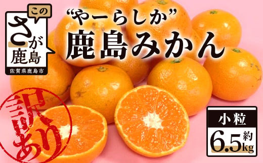 訳あり  ”やーらしか”鹿島産みかん 約6.5kg 小粒サイズ 2Sサイズ以下 みかん ミカン 蜜柑 柑橘 果物 フルーツ 甘い ご家庭用 ふるさと納税 佐賀県 鹿島市 AA-6