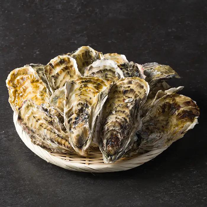 松島牡蠣屋 冷凍牡蠣（生食用）2kg 宮城県産 牡蛎 牡蠣 カキ オイスター カキフライ 牡蠣鍋 海鮮 国産 魚貝類 急速冷凍 【菊地水産合同会社】sh157