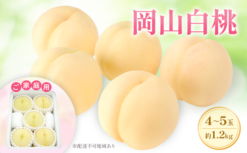 
            もも 2026年 先行予約 【ご家庭用】 岡山白桃 エース 4～5玉 約1.2kg  (6月下旬～7月下旬出荷予定)
          