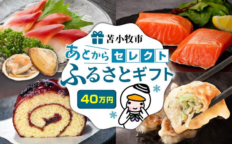 
            あとからセレクト【ふるさとギフト】40万円　T000-000-14
          