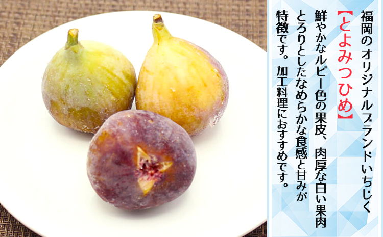 2J8-S 【福岡県産】冷凍とよみつひめ（イチジク）　2ｋｇ（1ｋｇ×2）