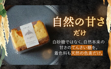 西海みかんのチーズケーキ 6個 ＜自然と暮らす　ぐりーん＞[CEM007]