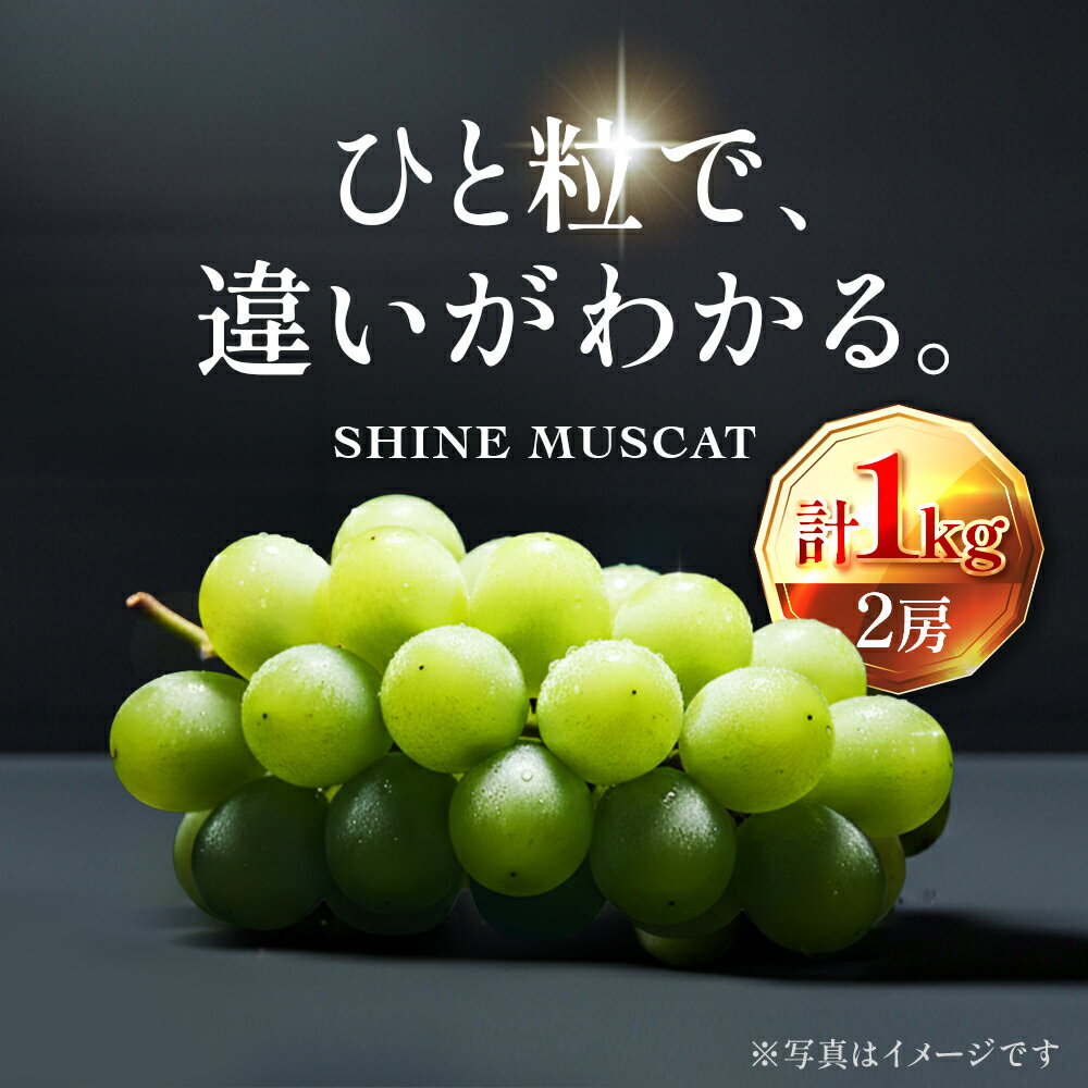 【ふるさと納税】【2026年先行予約】苗から厳選 シャインマスカット1kg(2房) 9月上旬～下旬発送 大粒 ぶどう ブドウ フルーツ 果物 くだもの おすすめ　お届け：2026年9月