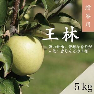 【贈答用】藤崎町産りんご　王林約5kg(12～20個)【配送不可地域：離島・沖縄県】【1031230】