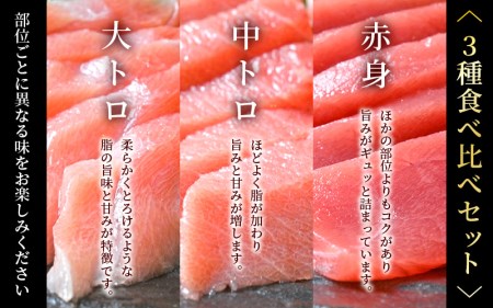 まぐろの王様！生本マグロ！まぐろ三昧おひとり様ミニセット合計約150g（赤身・中トロ・大トロ各約50g） [e04-a084] 本まぐろ 本マグロ まぐろ マグロ 鮪