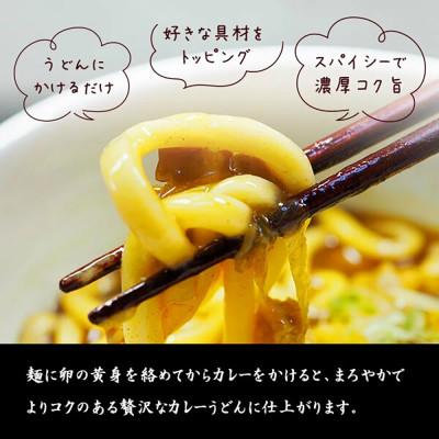 ふるさと納税 稲沢市 和食麺処サガミ 和ダシが利いた濃厚コク旨カレーうどんの素(10食入り)中辛 具材入り レトルト |  | 02