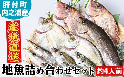 
                  A09002 地魚詰め合わせセット(約4人分) 鹿児島 国産 九州産 産直 産地直送 鮮魚 新鮮 魚 海産物 お刺身 煮つけ 焼き魚【マルケイ水産】
                