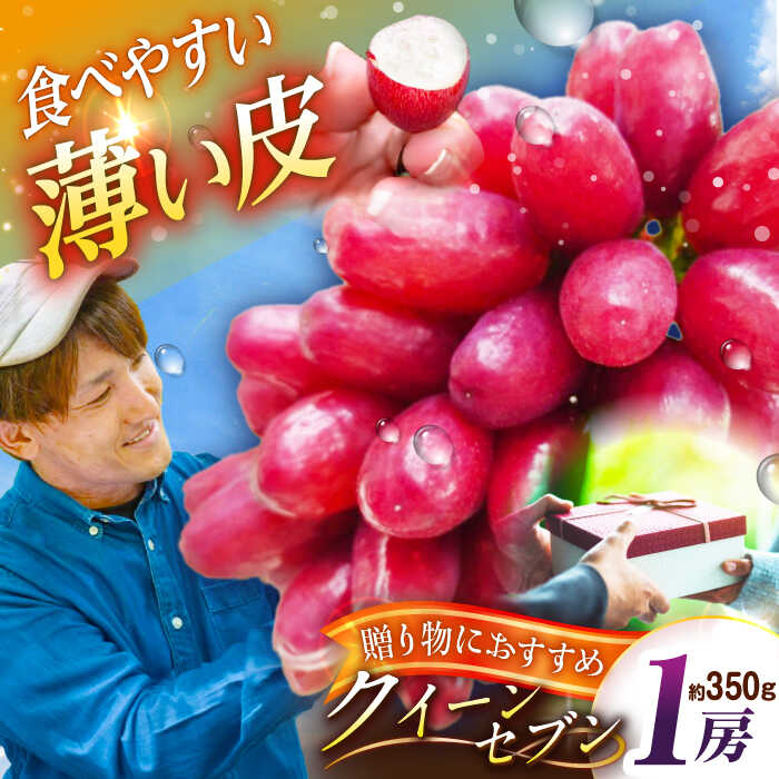【ふるさと納税】【2025年先行予約】【数量限定】【贈答用】期待の新品種！クイーンセブン 1房（約350g）秀品・化粧箱入り 島根県雲南市/ギアファーム[AIAB007]