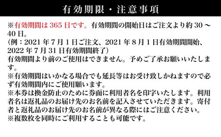 旅行 チケット クーポン券 はいむるぶし限定 9万円分【旅行 旅行チケット 旅行クーポン 旅行券 クーポン 沖縄旅行 旅行に最適 沖縄 宿泊 宿泊チケット 旅行用 夏の旅行 宿泊クーポン 旅行 国内旅