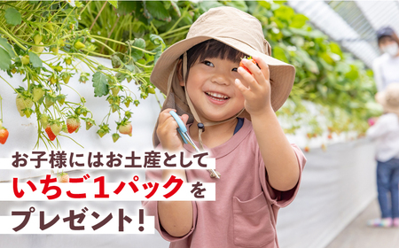 【先行予約】【五感で楽しむ】いちご狩り体験チケット 4枚【花祭いちごの谷】HBN005 苺いちごいちご狩り苺狩り