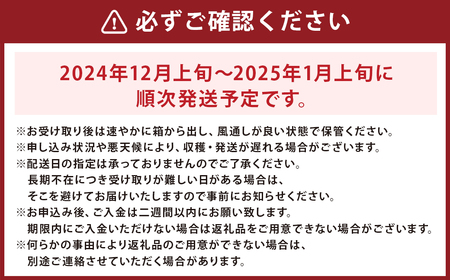 味ロマン みかん 約5kg 温州みかん 糖度12度 【長崎西彼農業協同組合】 長崎県産 くだもの 果物 フルーツ 【2024年12月上旬～2025年1月上旬迄発送予定】