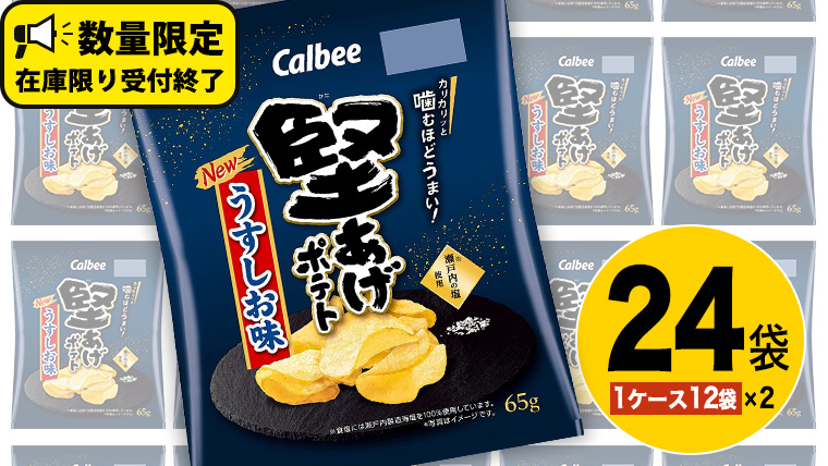 カルビー 堅あげポテト うすしお味 24袋 ( 2ケース ) 65g ポテチ お菓子 おかし 大量 スナック おつまみ ジャガイモ じゃがいも まとめ買い 数量限定 [DA015us]