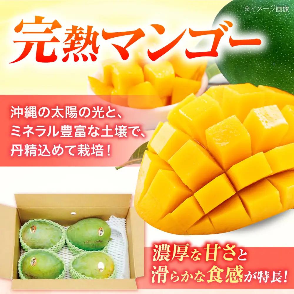 マンゴー 【2027年発送】 贈答用 キーツマンゴー 約2kg (2〜5玉 / 化粧箱入り) マンゴー 沖縄 BCAA006