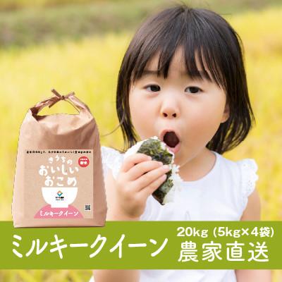 ふるさと納税 稲敷市 【令和7年産・自家栽培・自家精米・農家直送】稲敷市産ミルキークイーン　20kg(5kg×4袋)