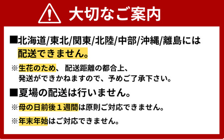 【北海道・東北・関東・北陸・中部・沖縄・離島配送不可／着日指定必須】フラワーアレンジメント [8000円相当] BTDC002