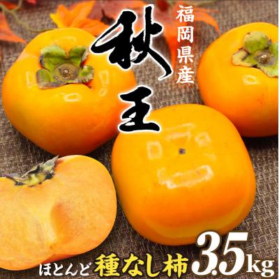 ふるさと納税 宗像市 福岡県ブランド　高級柿【秋王】3.5kg【JAほたるの里】_HA1352