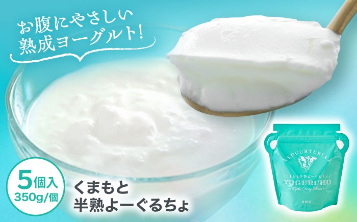 
            オオヤブデイリーファーム くまもと半熟よーぐるちょ 350g×5個セット ヨーグルト 乳製品【株式会社 オオヤブデイリーファーム】 デザート おやつ よーぐるちょ 朝食 昼食 夕食 よーぐると ヨーグルト[AYAE004]
          