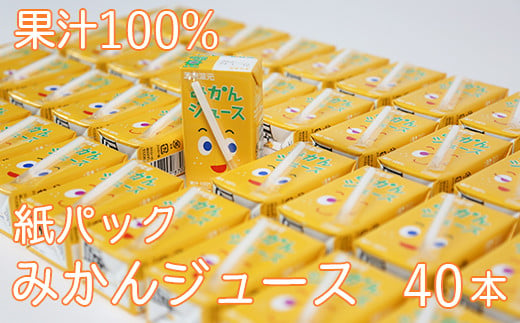 
果汁100％ 紙パック みかんジュース 125ml×40本＜131-010_5＞
