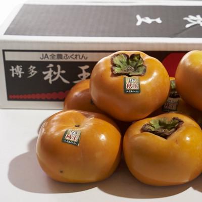 ふるさと納税 川崎町 【先行受付】福岡産ブランド柿・秋王4-6玉(約1.5kg)(川崎町) |  | 01