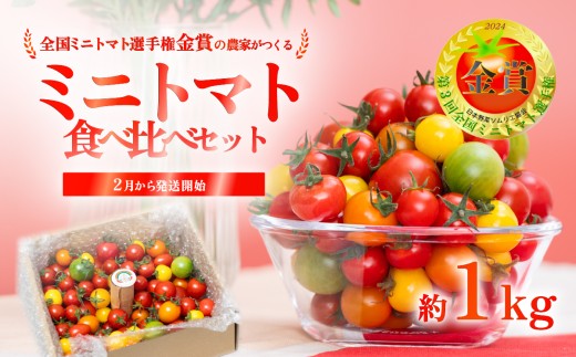 【 先行受付 】 ミニトマト 食べ比べセット 1kg ミニトマト 選手権 「 金賞 」 農家がつくる 【 10種以上 国産 旬 フルーツトマト 高糖度 カラフル 10000円以下 】