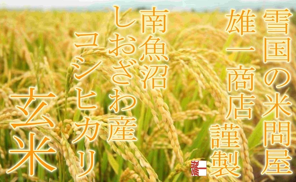 【令和7年産】●玄米● 【定期便4Kg×3ヶ月】 生産者限定 南魚沼しおざわ産コシヒカリ【2025年10月上旬より順次発送予定】