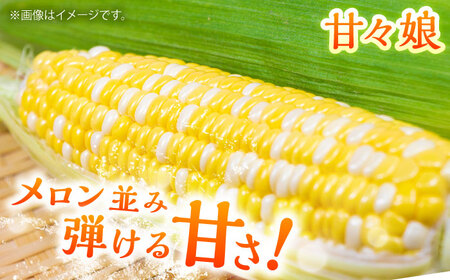 【数量限定】スイートコーン、ドルチェドリームと甘々娘の食べ比べセット【なかむら農園】[BHCJ003]