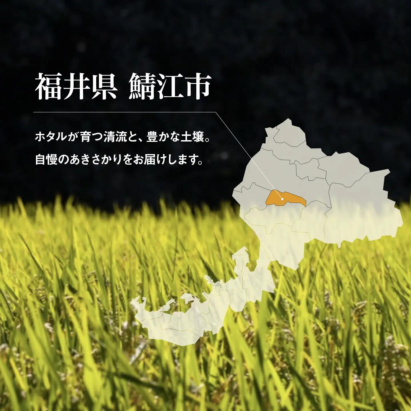 令和7年産 あきさかり 5kg　お米　精米　