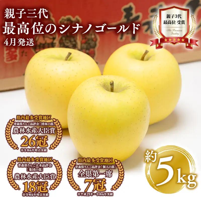 りんご  シナノゴールド 約5kg 【hi-0003-013】