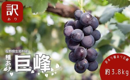 【2026年発送 先行予約】 訳あり 種あり巨峰 約3.8kg（9~13房） 巨峰