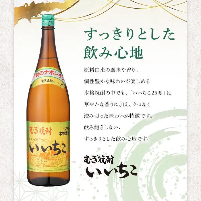 いいちこ ビン 25度(1800ml×2本)酒 お酒 焼酎 麦焼酎 アルコール 三和酒類【114002000】【一般社団法人　地域商社USA】