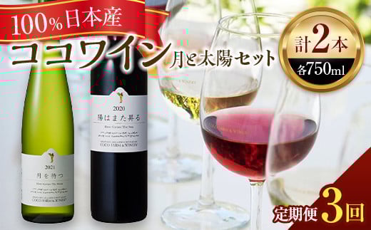 
【定期便3ヶ月】ココワイン/月と太陽セット 3ヶ月連続でお届け【 ワイン お酒 栃木県 足利市 】
