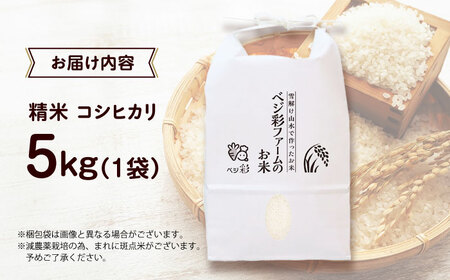 ＼スピード発送／お米 5キロ ベジ彩ファーム[AOEJ012] お米 お米 お米 お米 お米