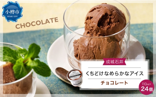 成城石井 くちどけなめらかなチョコレートアイス（110ml×24個） アイスクリーム 贈り物 ギフト お取り寄せ