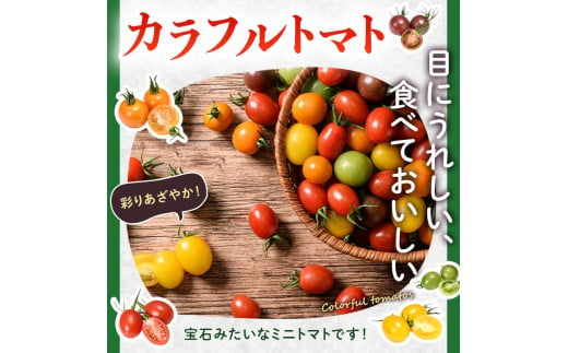 FKK19-874_【2カ月定期】アイコトマト・カラフルトマト 各1kg