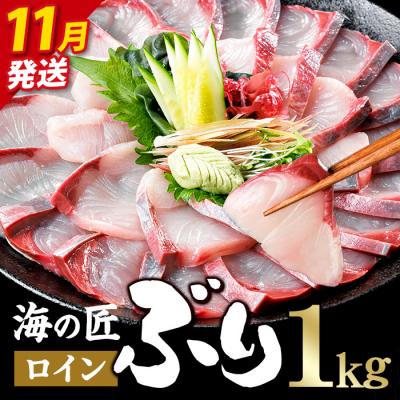 ふるさと納税 佐伯市 <先行予約受付中!2026年11月以降順次発送予定!>海の匠 ブリ スキンレスロイン (1kg)