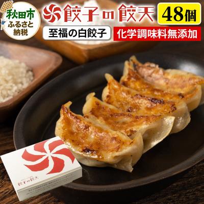 ふるさと納税 秋田市 【至福の白餃子48個詰合せ】餃子の餃天|15_ggt-084801
