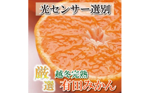 
＜先行予約＞厳選 越冬完熟みかん1.5kg+45g（傷み補償分）ハウスみかん・木熟みかん【光センサー選別】＜1月より発送＞※北海道・沖縄・離島への配送不可
