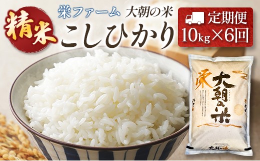 『定期便』全6回 コシヒカリ 精米 10kg 大朝の米こしひかり 栄ファーム 毎月届く定期便 米どころ北広島町のおいしいお米_SA091_003s6