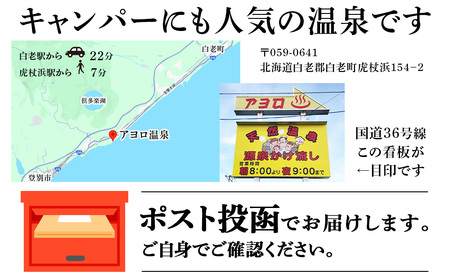 白老町 アヨロ温泉 入浴回数券 11回分 入浴チケット CF001