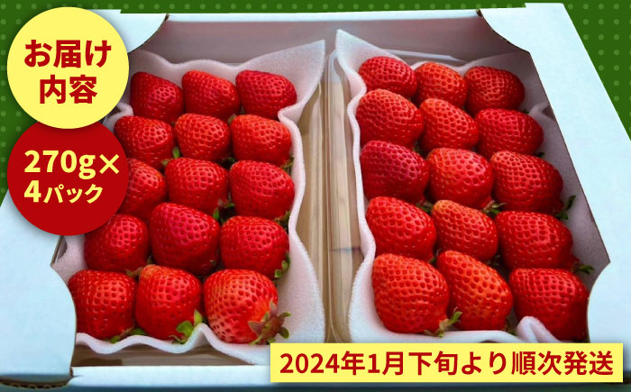 【2月上旬より発送】農家直送 朝採り新鮮いちご【博多あまおう】約270g×4＜株式会社H&Futures＞那珂川市 [GDS004]