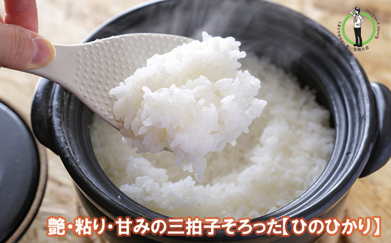 【令和7年度産　11月初旬発送予定】大阪府熊取町「わりかし若い百姓の会」の美味しいお米　ひのひかり　5㎏（033_5003）