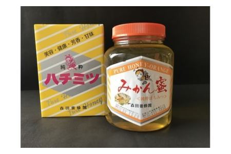 国産純粋はちみつ(みかん蜜)　2kg(B89-1)