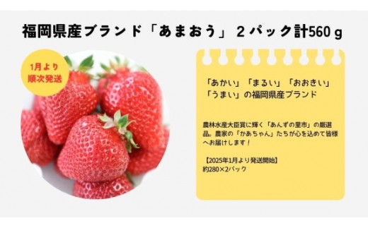 
                  【2027年1月より順次発送】福岡県産ブランドいちご「あまおう」2パック計560ｇ★あんずの里[H0161]
                