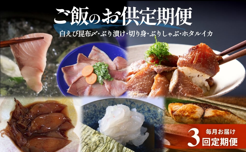 
            ＜3回定期便＞ご飯のお供定期便 富山県 氷見市 白エビぶり ほたるいか 冷凍 おかず
          