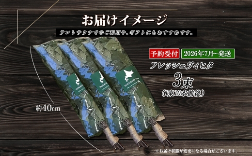 2026年 7月以降順次発送 1511. フレッシュ 白樺 ヴィヒタ 3束 北海道 白樺 ヴィヒタ アロマ ウィスク インテリア サウナグッズ サウナ テントサウナ 北海道 弟子屈町