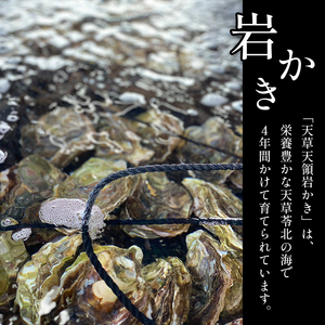 浜崎水産の天草天領岩かき 約1.5kg